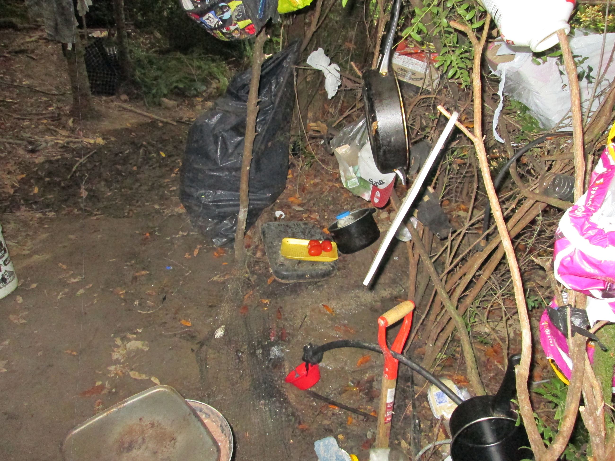 Trespass Marijuana Grow - 201603359